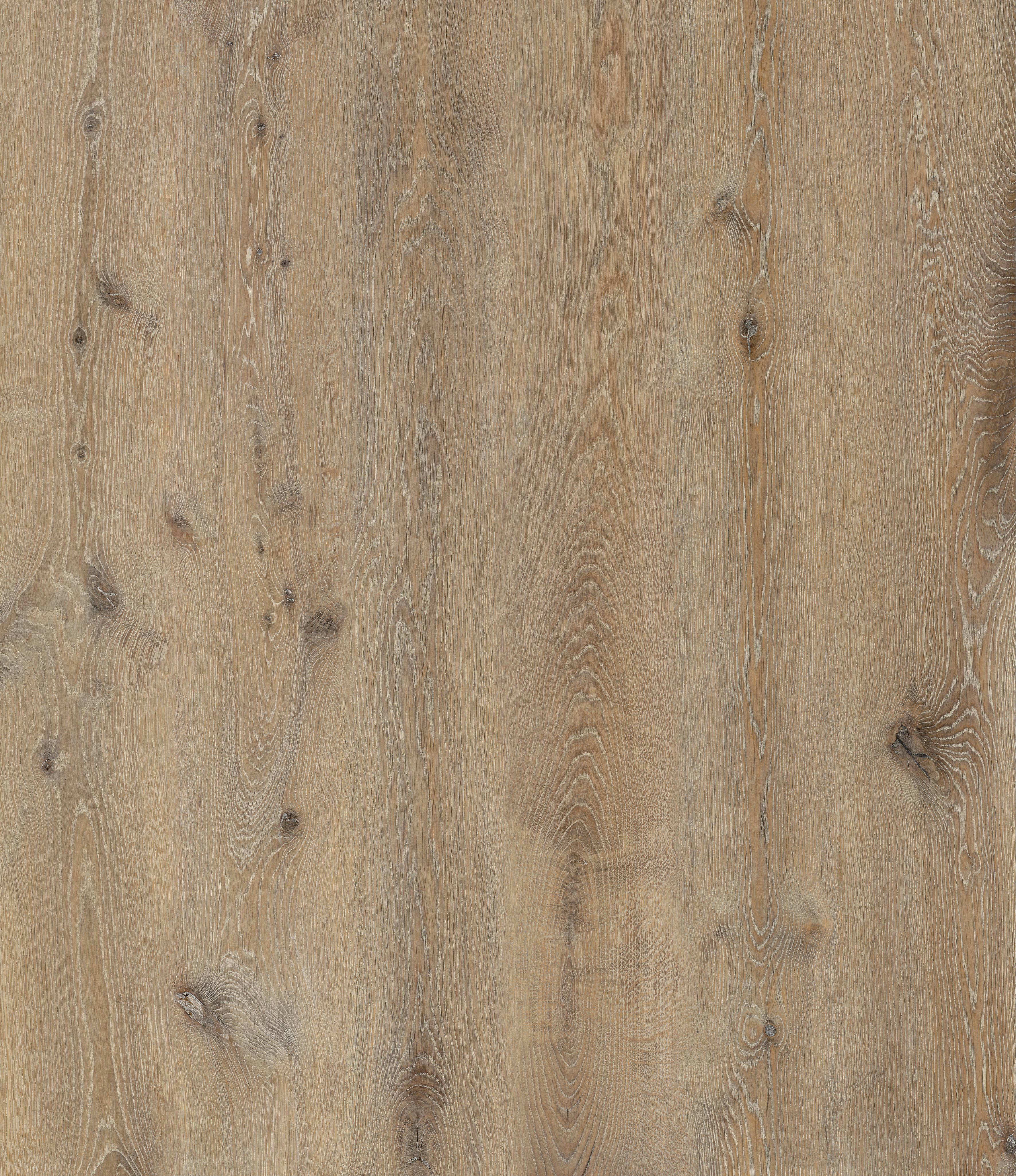 Autumn Trail Oak alternate view