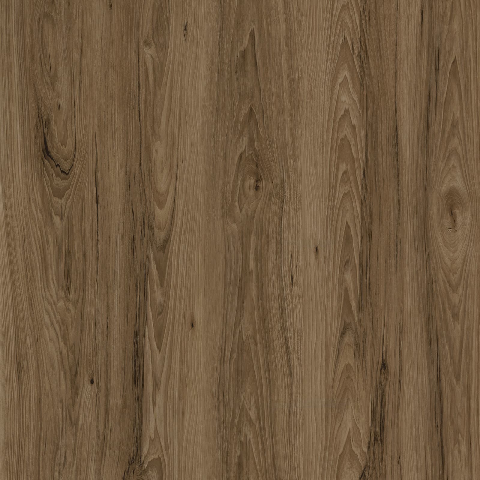 Golden Oak