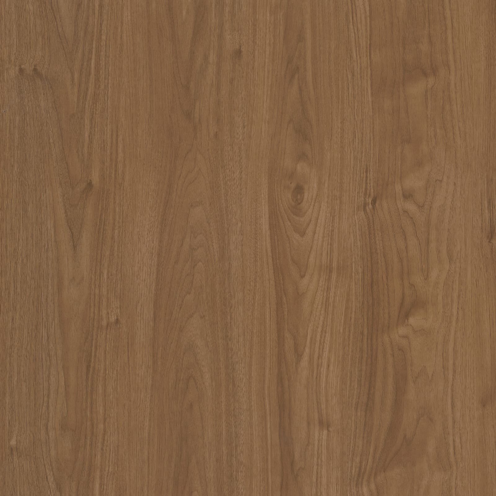 Red Oak