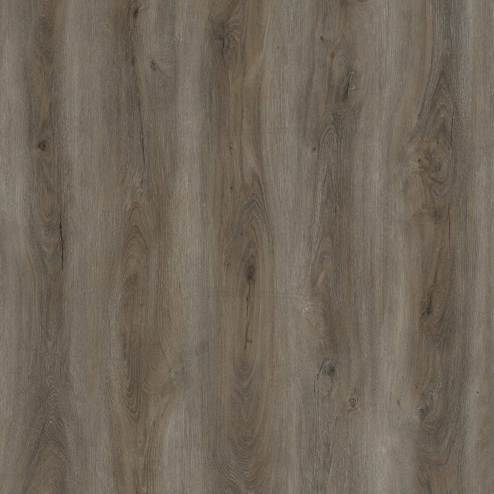 Norfolk Oak