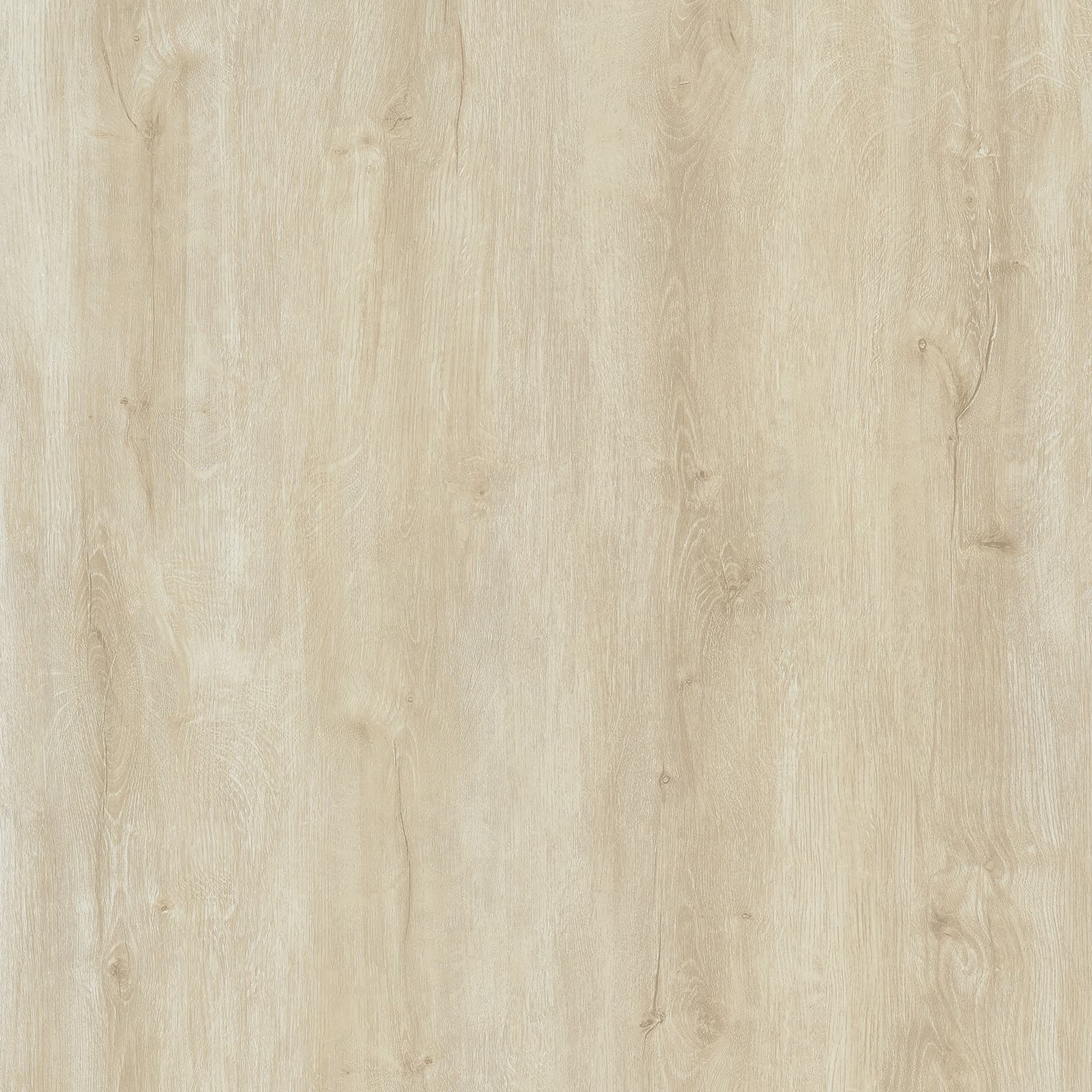 Cream Teak