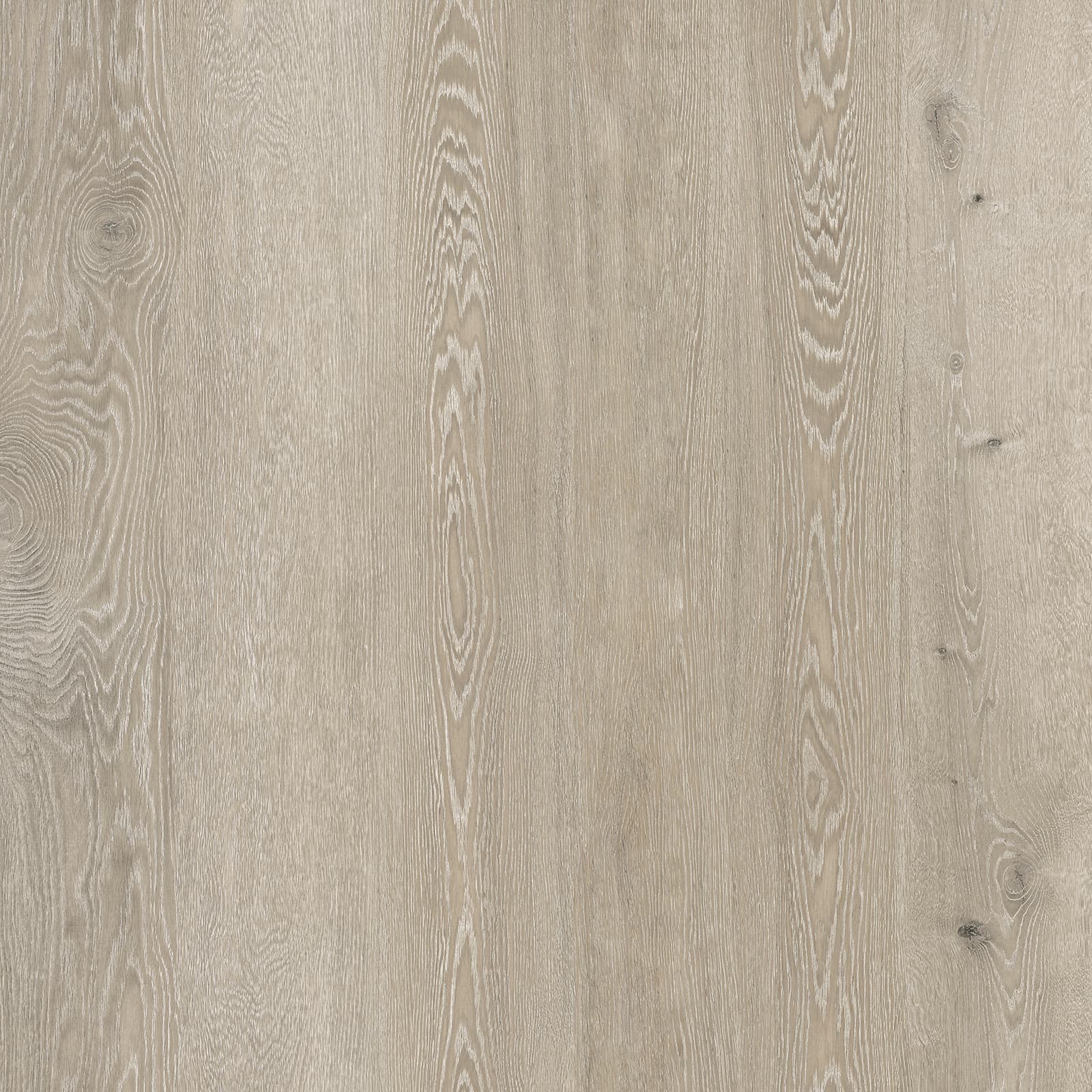 Silver Mist Oak