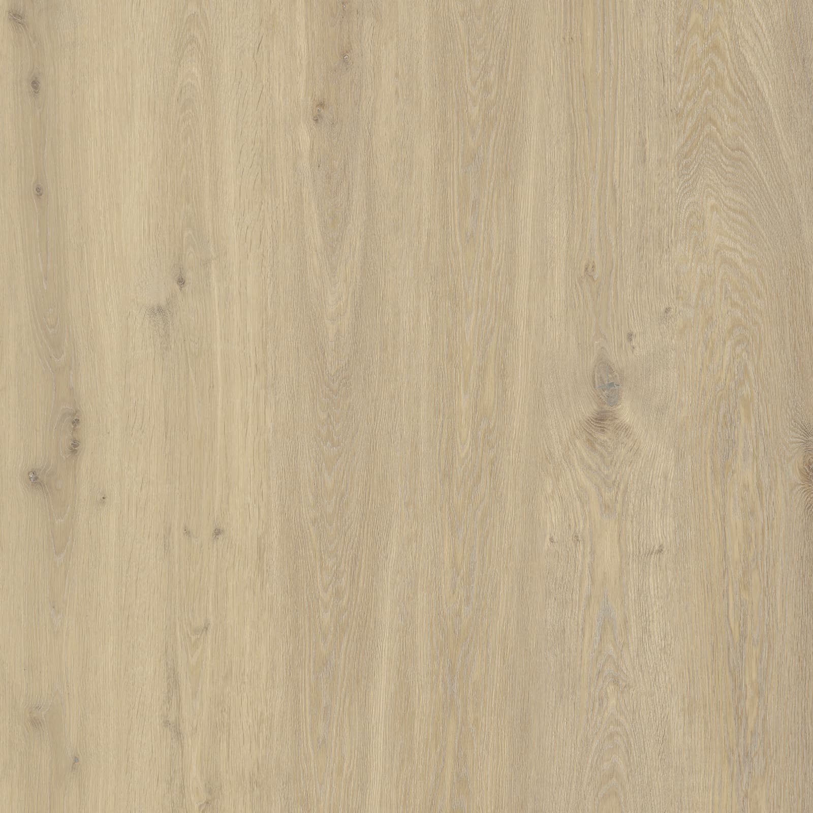 Golden Field Oak