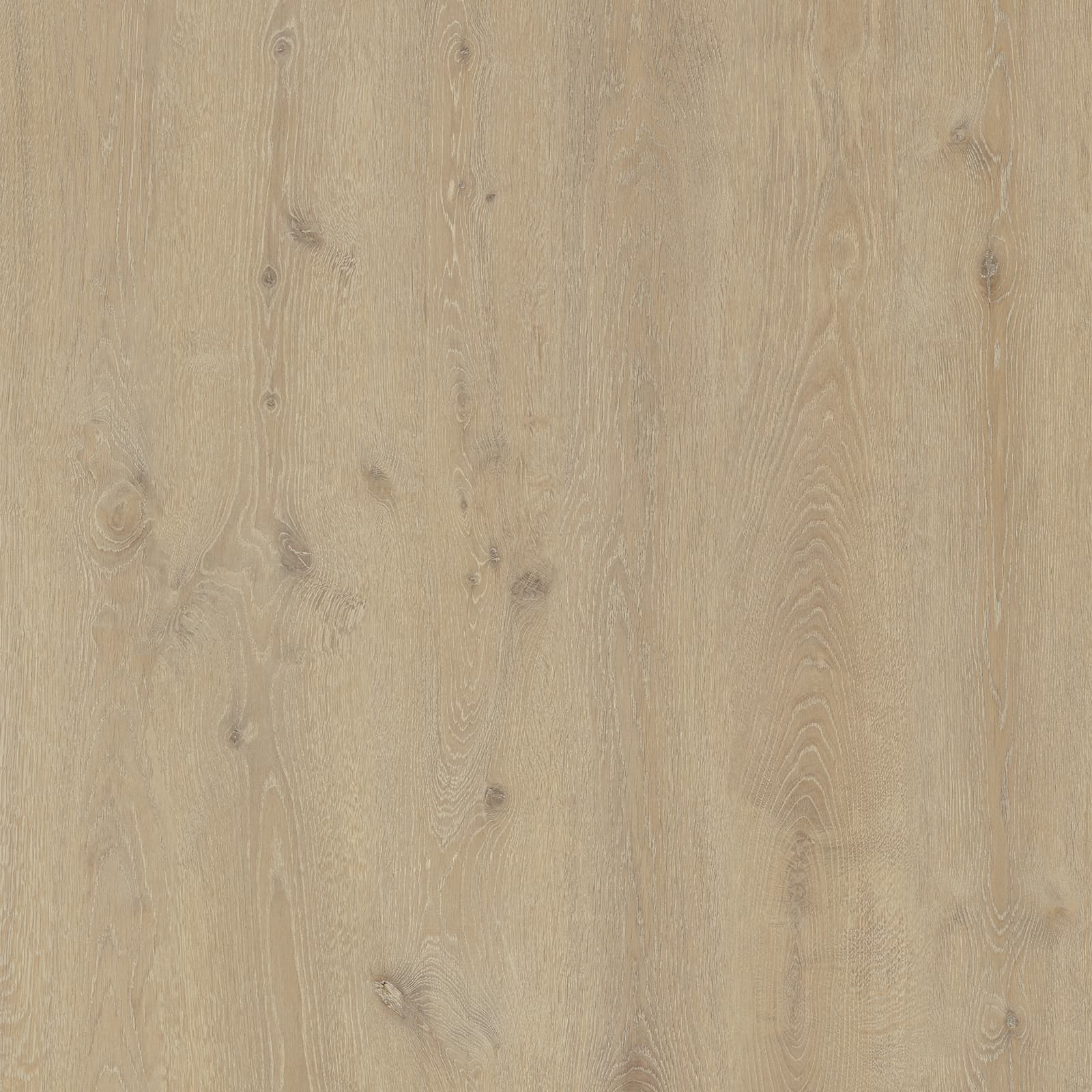 Linen Drift Oak
