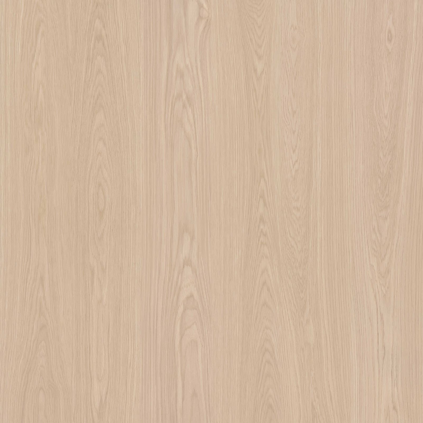 Ellwood Maple