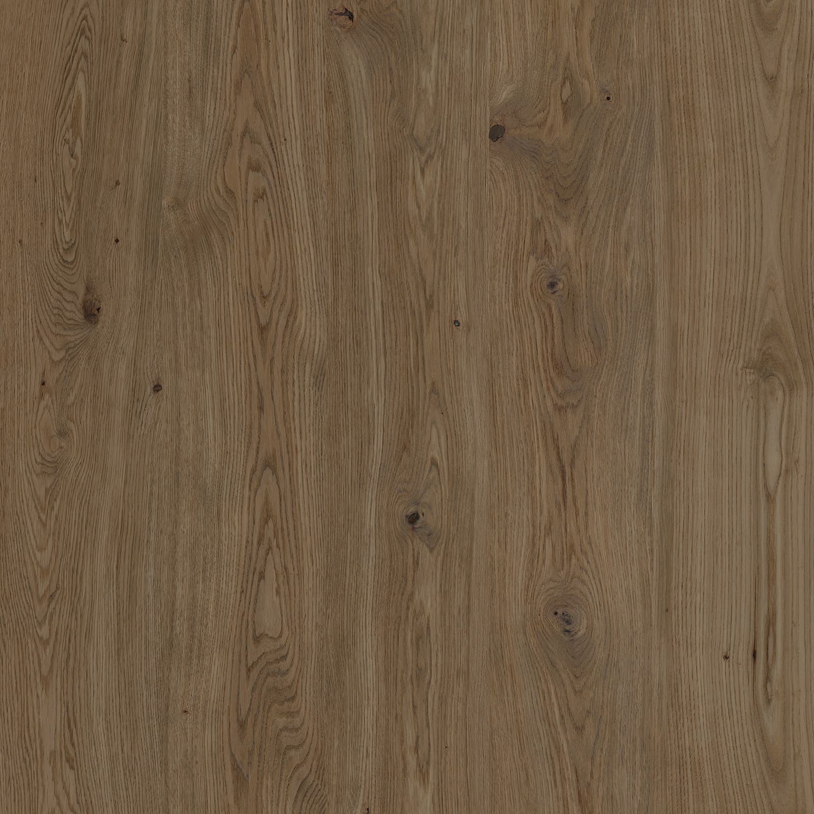 Simple Brown