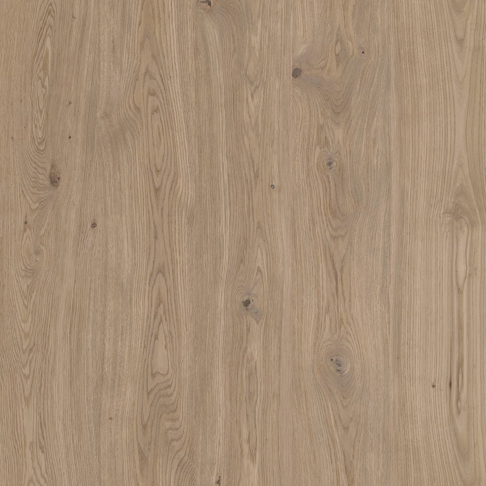 Noon Hickory