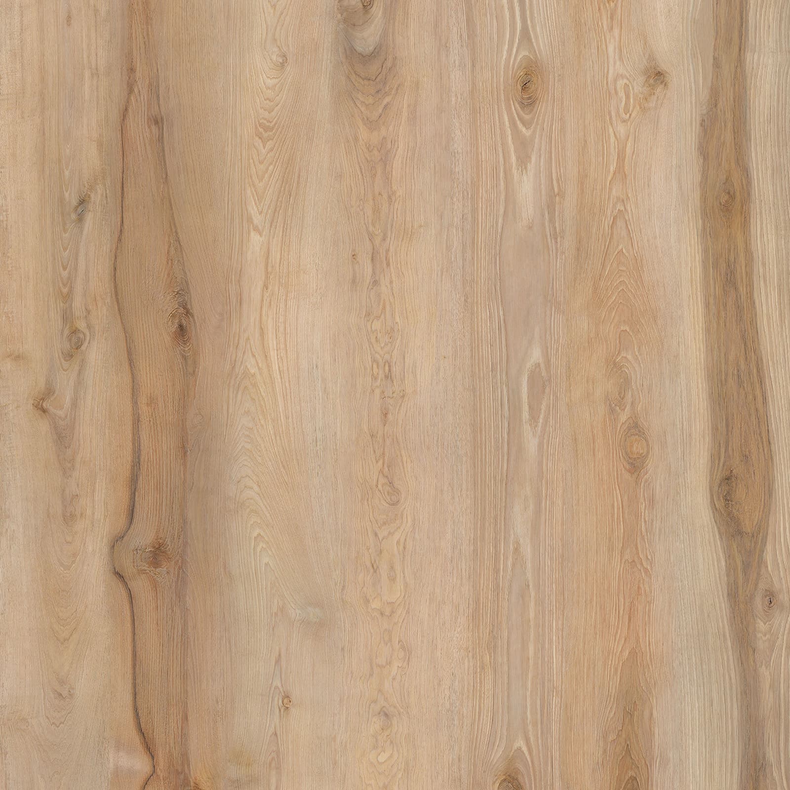 Sunshine Hickory