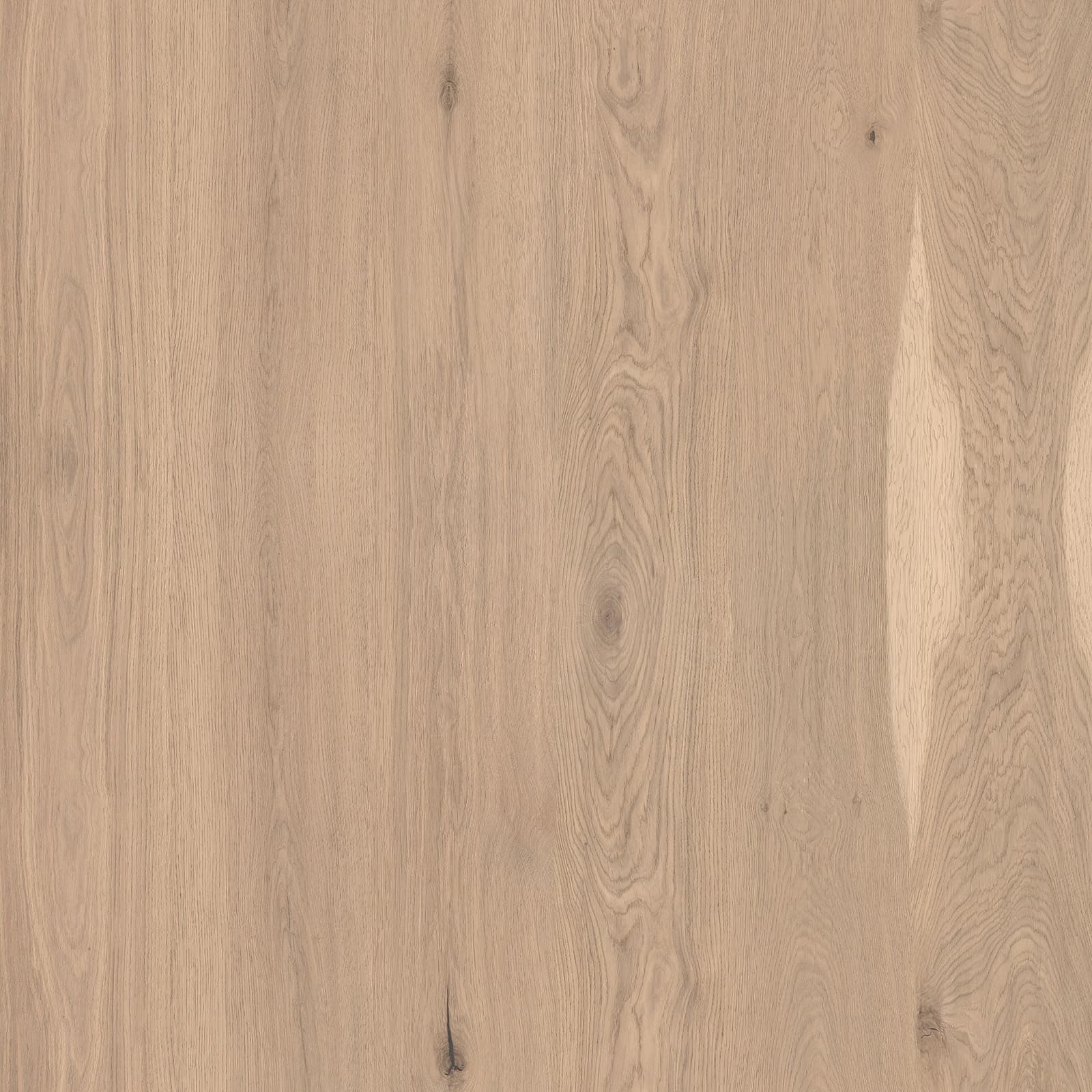 Antique Oak